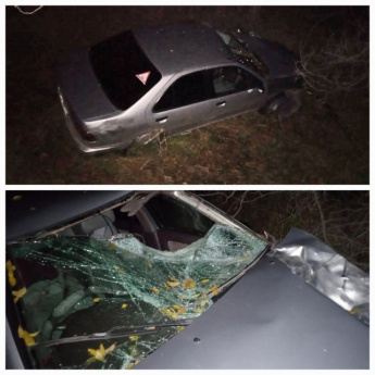 В Таштыпском районе в результате столкновения с коровой серьезно пострадал пассажир автомобиля